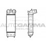105889 AUTOGAMMA Интеркулер