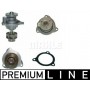 CP 111 000P MAHLE Водяний насос охолодження двигуна