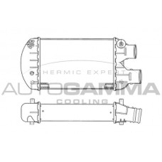 102389 AUTOGAMMA Интеркулер