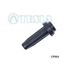 CP069 TESLA Вилка, Свічка запалювання