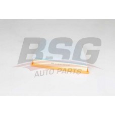 BSG 15-135-025 BSG Повітряний фільтр