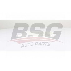 BSG 60-145-024 BSG Фільтр повітря у внутрішньому просторі