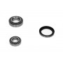WBK-4012 KAVO PARTS Комплект підшипника ступиці колеса