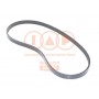 140-13141 IAP QUALITY PARTS Поліклиновий ремінь