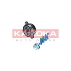 5500383 KAMOKA Комплект підшипника ступиці колеса
