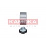 5600018 KAMOKA Комплект підшипника ступиці колеса