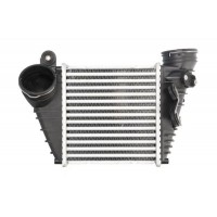 Интеркулер THERMOTEC DAW008TT