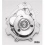 PQ-W06 JAPANPARTS Водяний насос охолодження двигуна