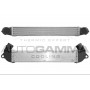 Интеркулер AUTOGAMMA 103408