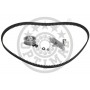 SK-1726 OPTIMAL Комплект ременя ГРМ