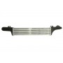 DAM010TT THERMOTEC Интеркулер