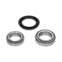 WBK-6523 KAVO PARTS Комплект підшипника ступиці колеса
