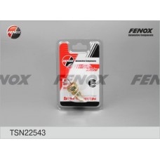 TSN22543 FENOX Датчик температура охолоджувальної рідини