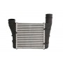 Интеркулер THERMOTEC DAA001TT