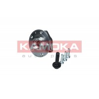 5500171 KAMOKA Комплект підшипника ступиці колеса