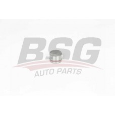 BSG 60-122-006 BSG Толкатель