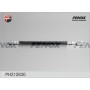 PH212830 FENOX Гальмівний шланг