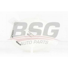 BSG 90-550-006 BSG Компенсаційний бак охолоджувальна рідина