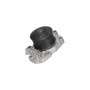 MW-1436 KAVO PARTS Водяний насос охолодження двигуна