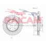 RD01025 RAICAM Гальмівний диск