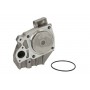 D1F041TT THERMOTEC Водяний насос охолодження двигуна