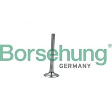 випускний клапан Borsehung B19008