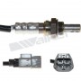 250-24186 WALKER PRODUCTS датчик кисню
