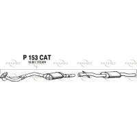 P153CAT FENNO Катализатор