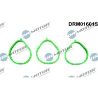 DRM01601S Dr.Motor Automotive Комплект прокладок впускний колектор