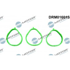 DRM01601S Dr.Motor Automotive Комплект прокладок впускний колектор