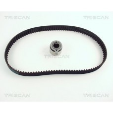 8647 21002 TRISCAN Комплект ременя ГРМ