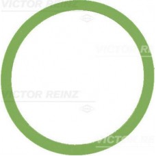 41-77647-00 VICTOR REINZ Прокладка впускного колектора