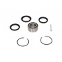 WBK-6501 KAVO PARTS Комплект підшипника ступиці колеса