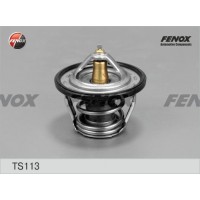 TS113 FENOX Термостат охолоджувальна рідина