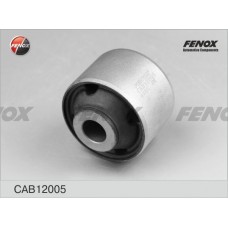 CAB12005 FENOX Підвіска важіль незалежної підвіски колеса