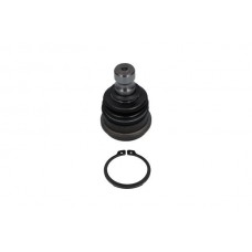 SBJ-3017 KAVO PARTS Шарнір незалежної підвіски поворотного важеля