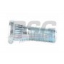 BSG 30-230-043 BSG Шпилька колеса