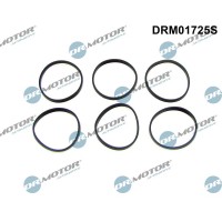 DRM01725S Dr.Motor Automotive Комплект прокладок впускний колектор