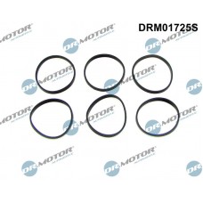 DRM01725S Dr.Motor Automotive Комплект прокладок впускний колектор