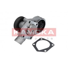 T0258 KAMOKA Водяний насос охолодження двигуна
