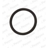 WG1183107 WILMINK GROUP Ущільнювальне кільце, Різьбова пробка маслосливн. отверст.