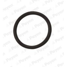 WG1183107 WILMINK GROUP Ущільнювальне кільце, Різьбова пробка маслосливн. отверст.
