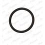 WG1183107 WILMINK GROUP Ущільнювальне кільце, Різьбова пробка маслосливн. отверст.