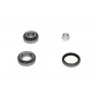 WBK-4007 KAVO PARTS Комплект підшипника ступиці колеса