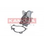T0160 KAMOKA Водяний насос охолодження двигуна