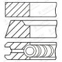 WG1096338 WILMINK GROUP Комплект поршневих кілець