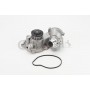 WPS3087 CONTINENTAL CTAM Водяний насос охолодження двигуна