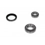 WBK-4012 KAVO PARTS Комплект підшипника ступиці колеса