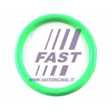 FT49434 FAST Прокладка впускного колектора