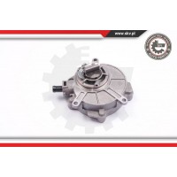 18SKV017 ESEN SKV вакуумний насос гальмова система